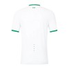 Maillot de Supporter Irlande Extérieur 2023 Pour Homme